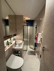 Cairnhill Crest (D9), Condominium #499336051